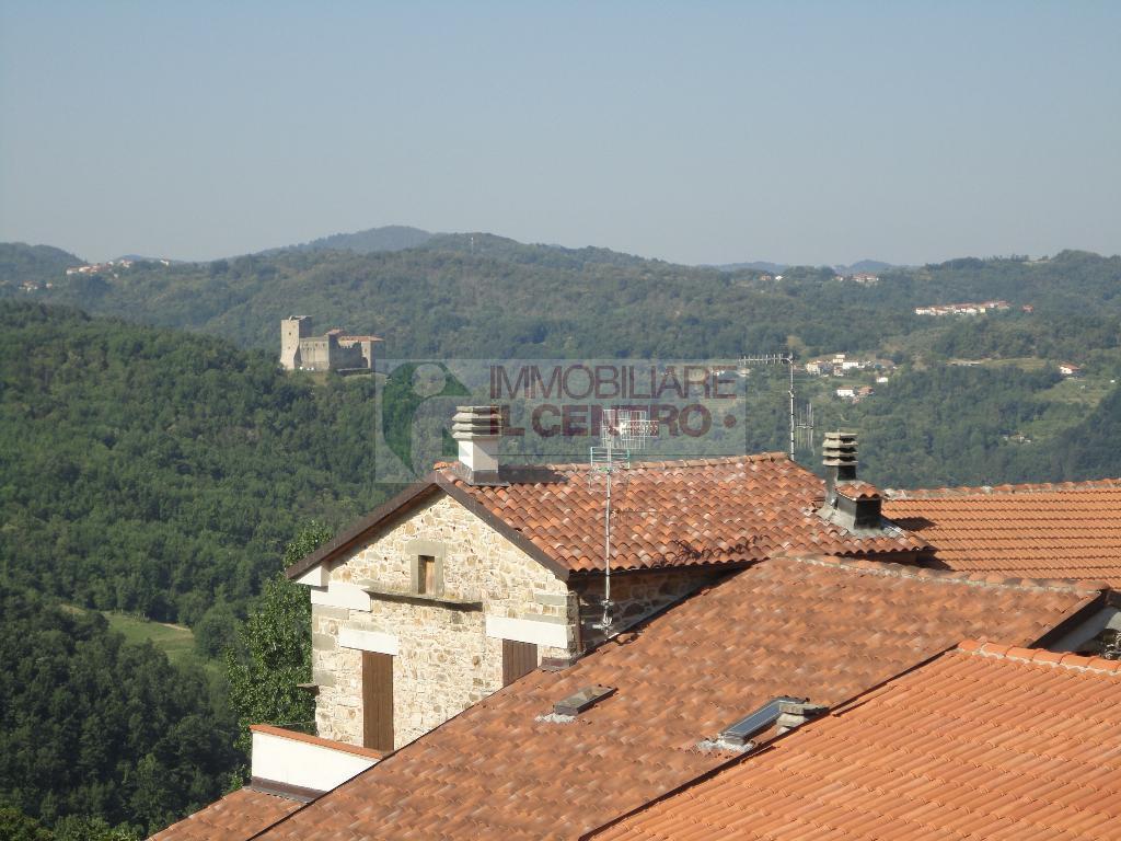 CASA INDIPENDENTE  CON CANTINE E CORTE