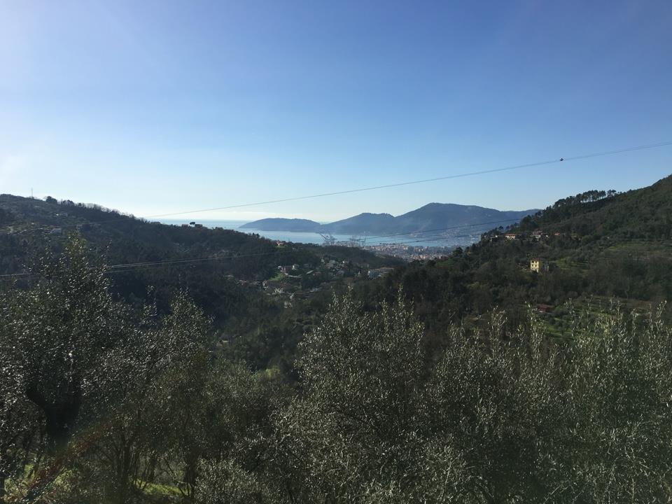 Agriturismo Azienda Agricola in vendita La Spezia 