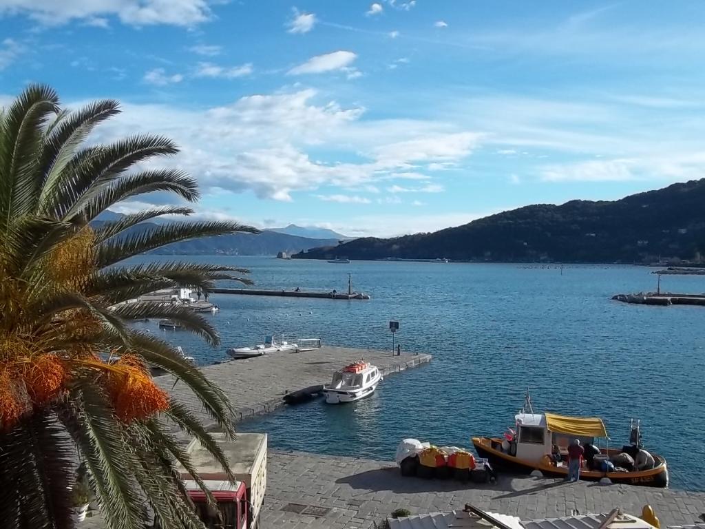 PORTOVENERE APPARTAMENTO FRONTE MARE