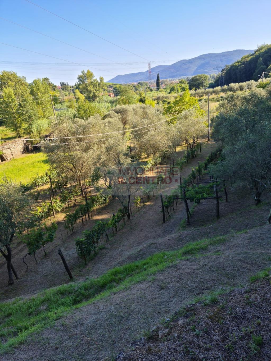 Terreno agricolo di 13.000 mq.