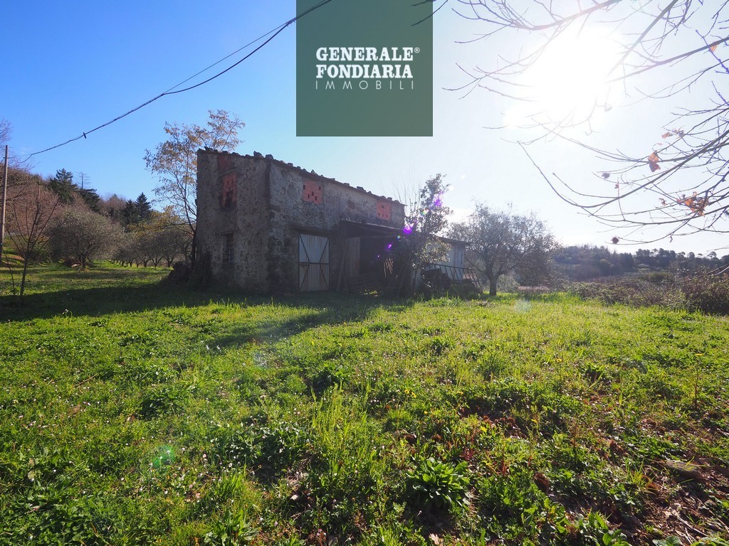 Terreno in vendita, Ceparana